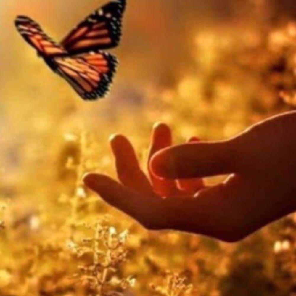 Meet your Posher, Isabel